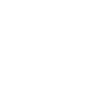 icon-1
